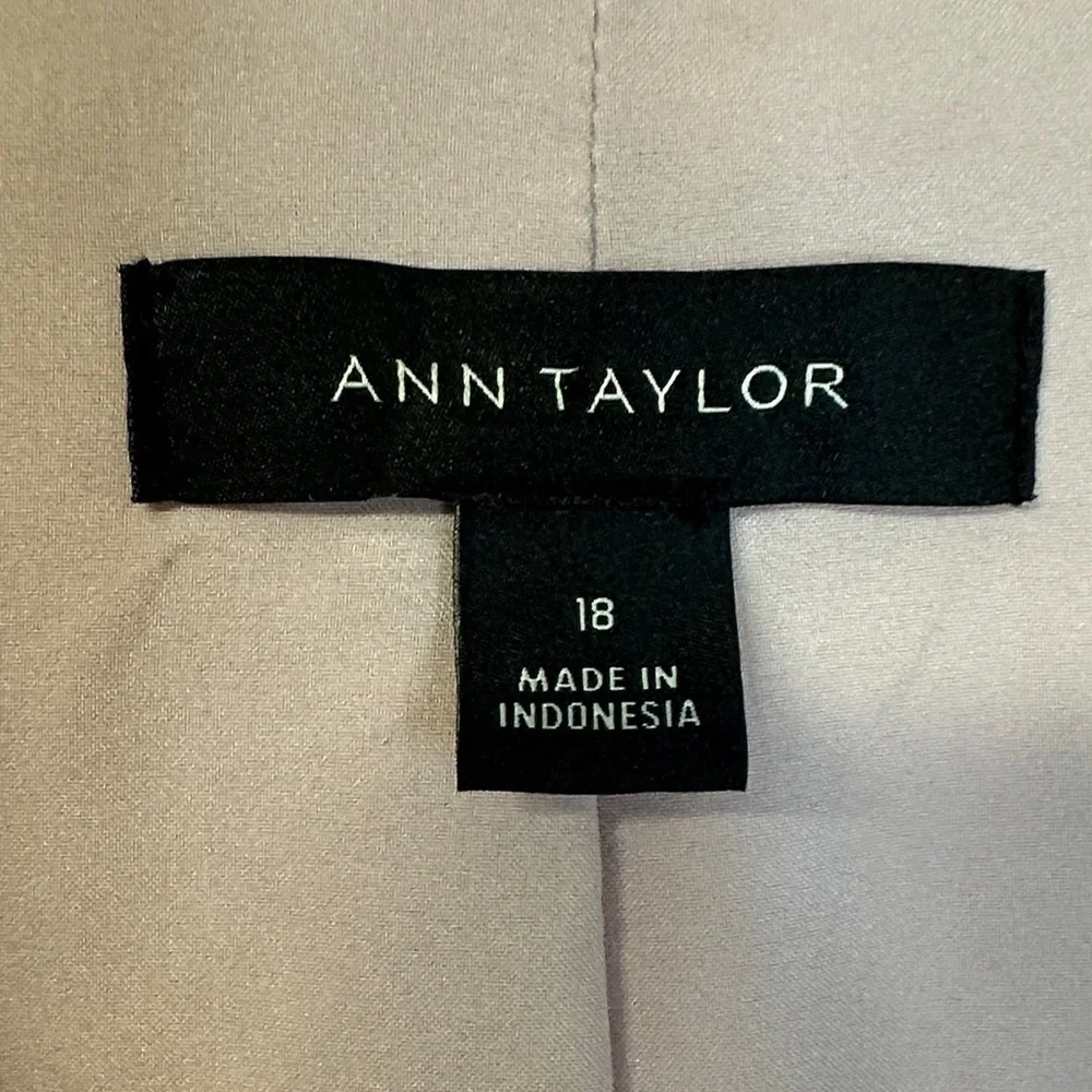 Ann Taylor Light Pink Single-Button Blazer Women's Plus Size 18 EUC - Picture 2 of 4